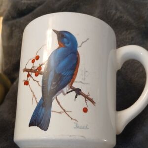 1986 National Wildlife Federation 31113 Eastern Bluebird Coffee Cup Vintage GUVC